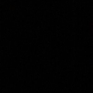 Meet your Posher, Priscila